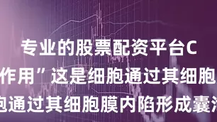 专业的股票配资平台C项“吞噬作用”这是细胞通过其细胞膜内陷形成囊泡